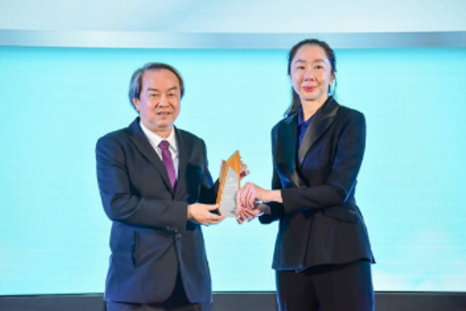 EIA Monitoring Awards
